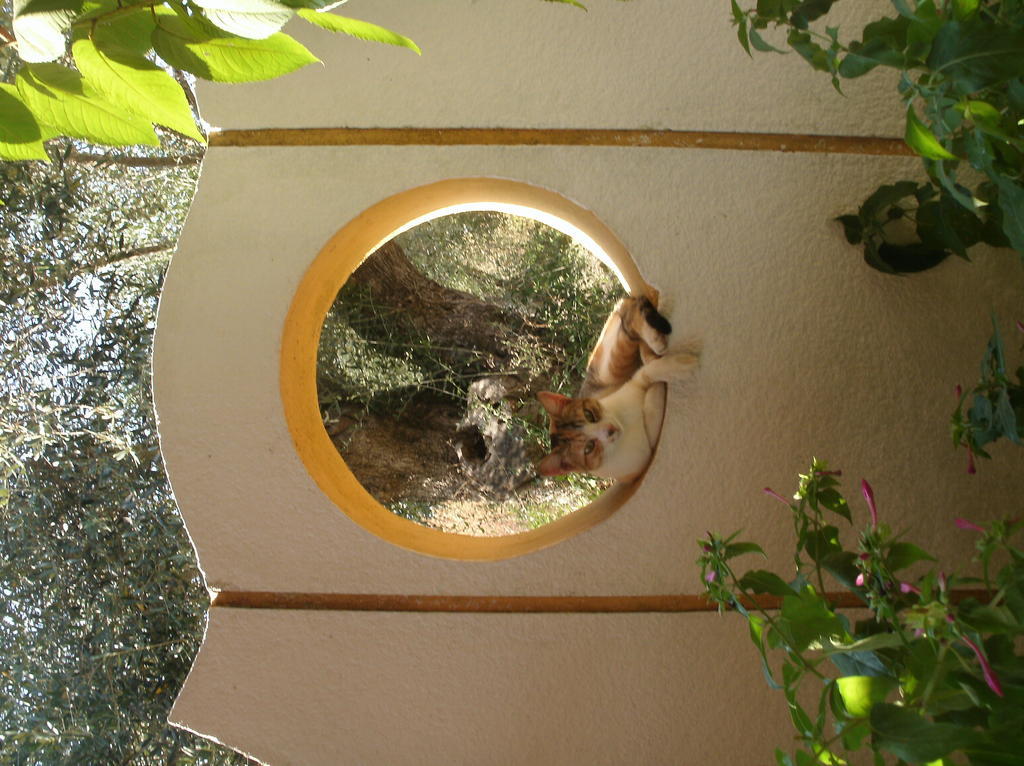Athina Aparthotel Kávos Exteriör bild